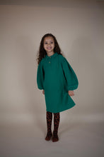 Afbeelding in Gallery-weergave laden, Daily Brat Dory Dress Winter Glade SALE
