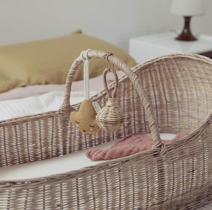 Moses Basket